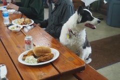 Lilly is ready for lunch