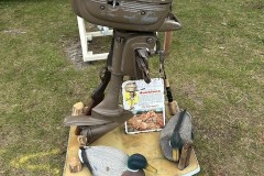 Evinrude Ducktwin display