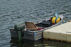 Paul's 1954 Johnson Sea Horse 10