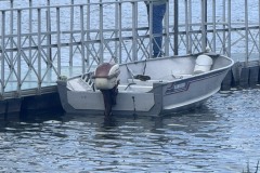 Doug's AlumaCraft and '58 Johnson Sea Horse